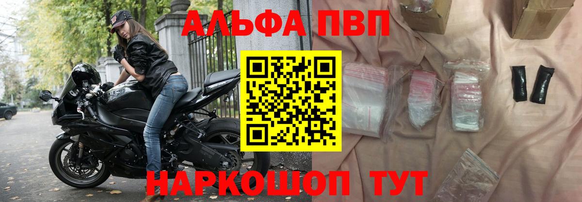 Альфа ПВП СК КРИС Саранск