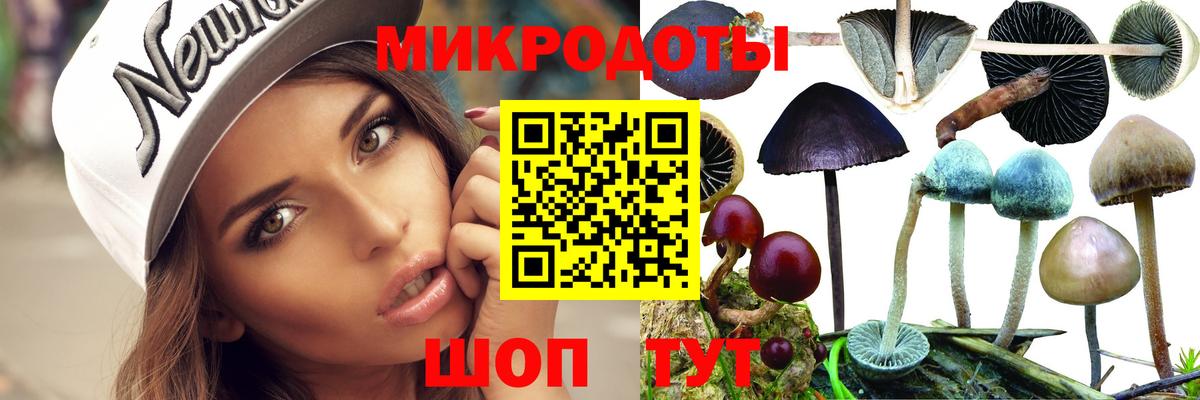 Саранск  Псилоцибиновые грибы Magic Shrooms  Вход с VPN 