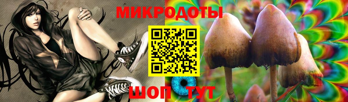 Псилоцибиновые грибы Magic Shrooms Саранск